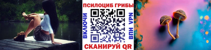 Псилоцибиновые грибы мицелий Волжский