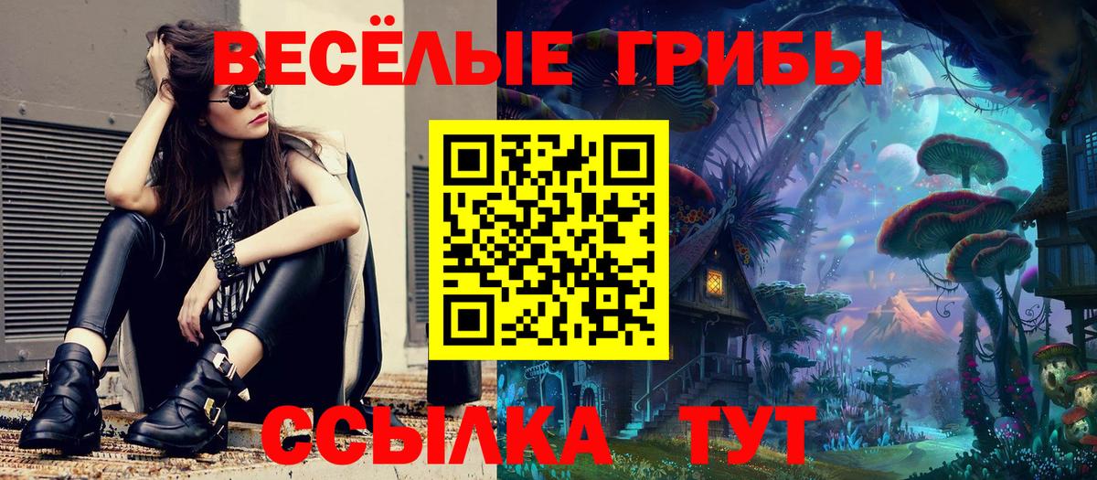 Псилоцибиновые грибы Psilocybe Волжский
