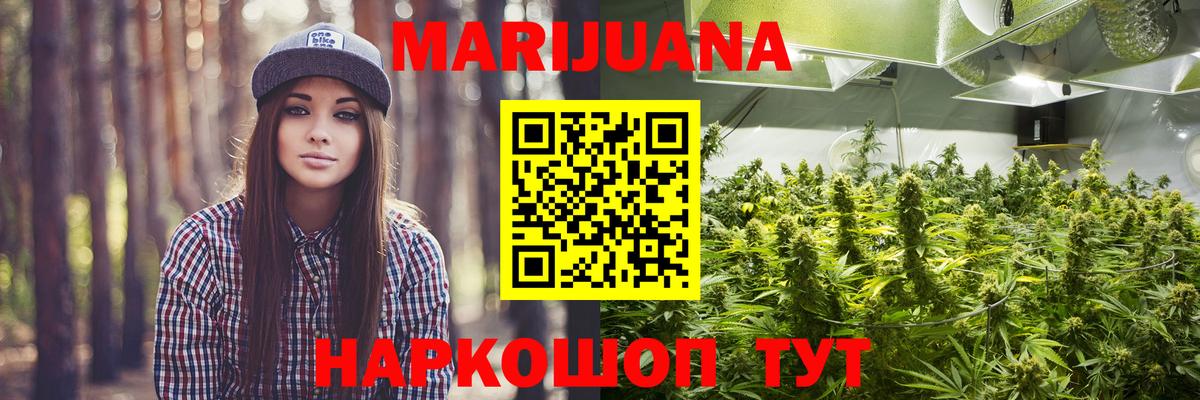 Каннабис планчик Волжский